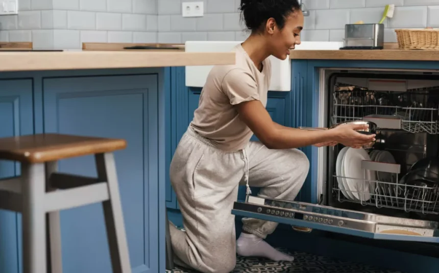 clean-dishwasher clean-dishwasher